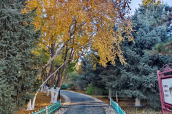赤峰市全寧街車檢電話號碼