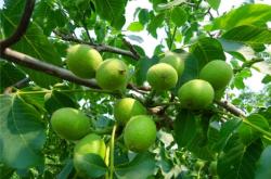 赤峰地膜供應(yīng)商電話地址查詢