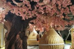 赤峰青春生活館電話地址查詢