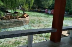 赤峰植物園駕校地址電話號碼