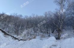 赤峰求購(gòu)?fù)恋仉娫捠嵌嗌偬?hào)