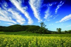 大連到赤峰的拼車電話號碼