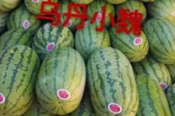 赤峰手機號碼大全