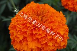 赤峰賣尚赫產(chǎn)品的電話號碼