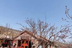 赤峰木頭溝風(fēng)景區(qū)電話號(hào)碼