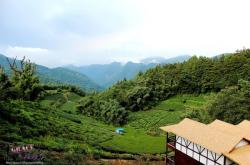 赤峰星馳民宿電話多少號(hào)