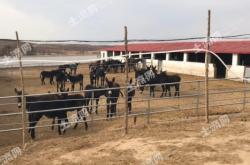 林西到赤峰的班車(chē)電話(huà)號(hào)碼是多少