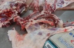 赤峰草皮批發(fā)電話號(hào)碼多少