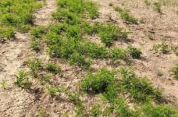 赤峰市出售木托盤電話號(hào)碼