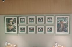 赤峰菌菇火鍋店電話號碼