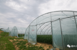 赤峰市翁牛特旗廣德公鎮(zhèn)廣德公特產(chǎn)