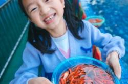 赤峰兒童撈魚電話號碼查詢