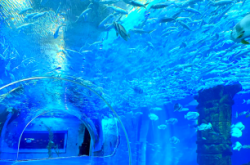 赤峰市海底樂園電話地址查詢