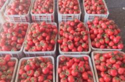 大城子到赤峰物流電話號(hào)碼