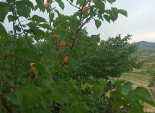 赤峰市寧城泰和賓館電話號(hào)碼