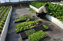 赤峰平莊玻璃膜廠電話號碼