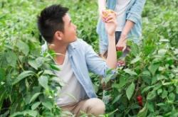 赤峰良緣相親電話多少號(hào)啊