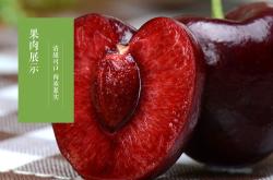 赤峰甄選水果電話號(hào)碼查詢是多少