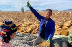 赤峰瓜子產(chǎn)地購(gòu)銷公司電話號(hào)碼