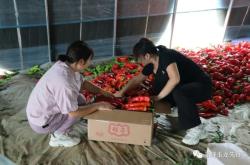 赤峰硬核健身招聘電話號碼查詢