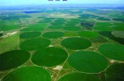 赤峰阿旗牧草收購電話地址是多少