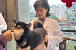 赤峰狗狗針灸醫(yī)院電話號碼多少