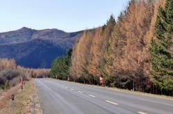赤峰濱河公園釣魚(yú)地點(diǎn)電話號(hào)碼