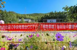 赤峰政府直播間官網(wǎng)電話號碼