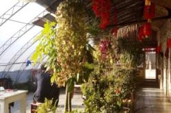 赤峰市牛頭宴飯店電話號(hào)碼