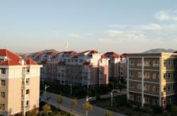 赤峰林東鎮(zhèn)王大夫電話號(hào)碼