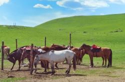 赤峰紅山區(qū)軍分區(qū)電話號(hào)碼