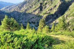 赤峰市木頭溝郵局電話號碼