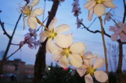 赤峰紅山區(qū)垂釣園電話號碼