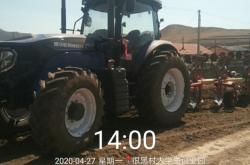 赤峰黑玉米收購電話號碼是多少