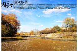 赤峰收購曲麻菜電話是多少號