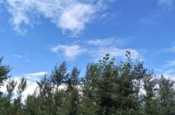 赤峰寧城相親會電話地址查詢