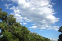 赤峰紅山區(qū)香山社區(qū)電話號碼