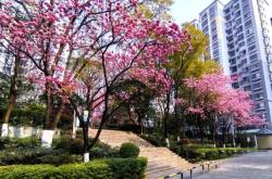 赤峰澤泰汽貿(mào)電話(huà)號(hào)碼查詢(xún)