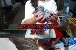 赤峰王府鎮(zhèn)幼兒園電話號碼