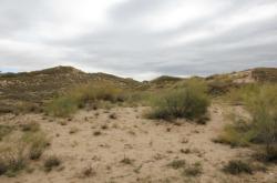 赤峰狼圖騰救援隊(duì)電話號碼