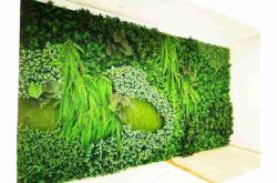 赤峰植物墻廠家聯(lián)系電話號(hào)碼