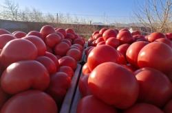 赤峰大廟鎮(zhèn)拼車群電話號(hào)碼