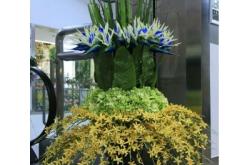 赤峰假花批發(fā)市場電話號(hào)碼