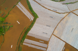 赤峰烤煙種植合作社電話號碼