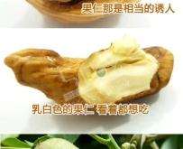 赤峰新城干果店電話多少號