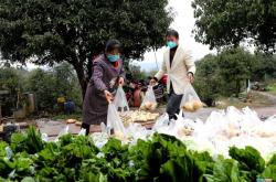 赤峰愛(ài)心蔬菜超市電話地址查詢