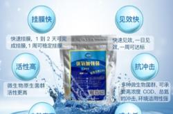 赤峰厭氧活性菌種廠商電話地址