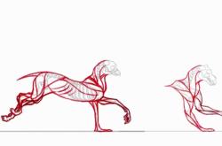 赤峰動(dòng)物解剖檢測(cè)中心電話(huà)號(hào)碼