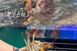 赤峰市海鮮水產(chǎn)店電話號(hào)碼