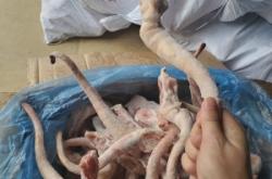 赤峰豬尾巴批發(fā)電話地址查詢